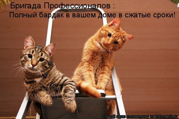 http://www.lolhome.ru/uploads/posts/2012-02/1329477693_35.jpg