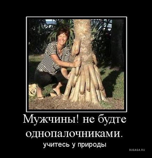 Корень зла прикольные картинки