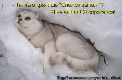 Самые смешные котоматрицы недели