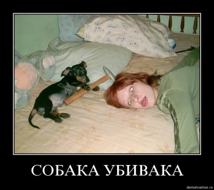 собака-убивака