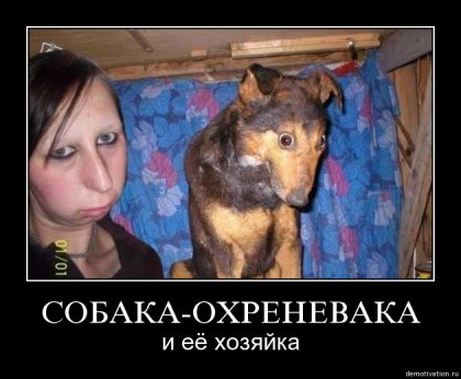 собака-охреневака