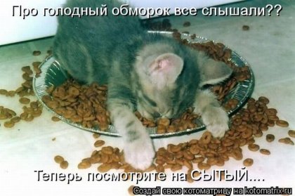 Котоматрицы за неделю