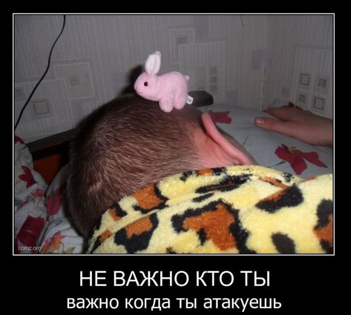 Жесткие приколы картинки
