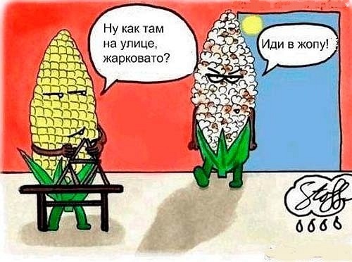 Фотографии, которые заставят улыбнуться