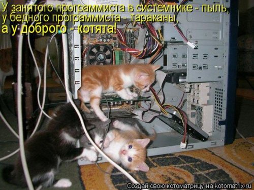 Свежие котоматрицы, смешно