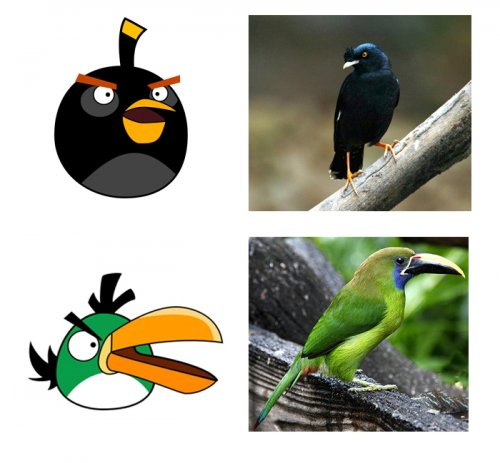 Angry Birds в реальной жизни