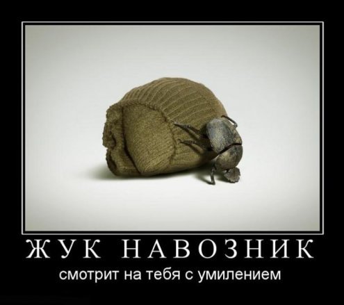 Немного демотивации