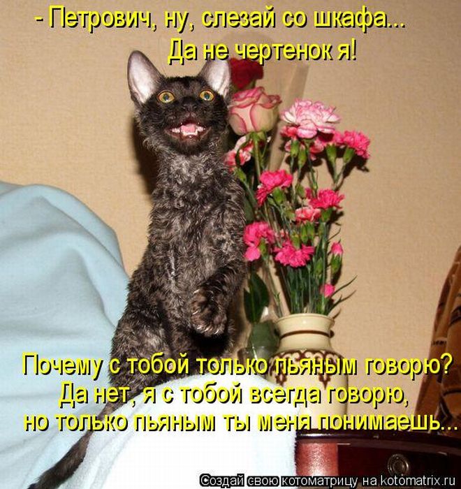 Смешные картинки с надписями про животных с надписями
