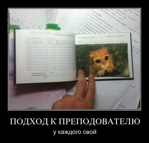 Воскресные демотиваторы