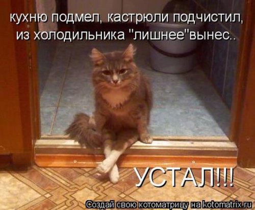 Лучшие котоматрицы за неделю