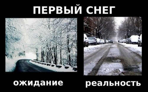 Суровая правда жизни