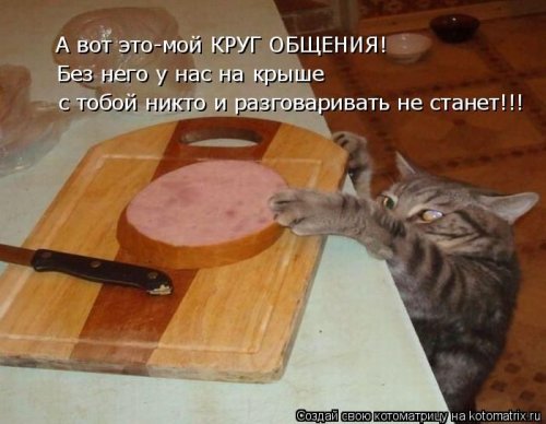 Прикольные котоматрицы