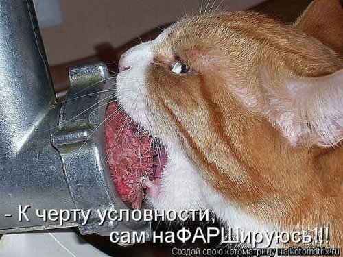 Лучшие котоматрицы недели