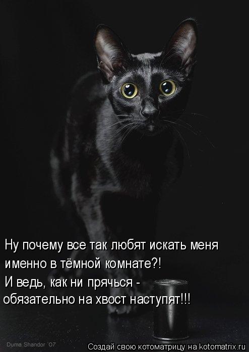 Котоматрица забавная (30 шт)