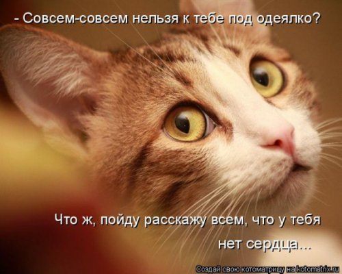 Котоматрица забавная (30 шт)