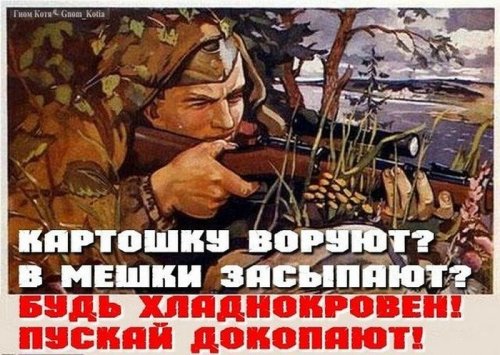 Прикольные картинки в каждый дом