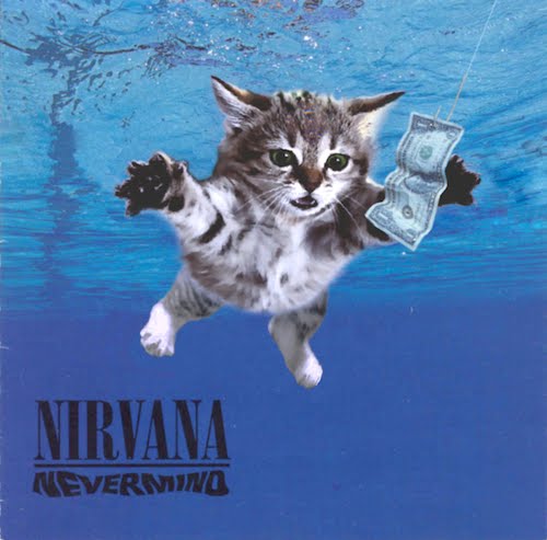 Музыкальные котята на обложках альбомов
