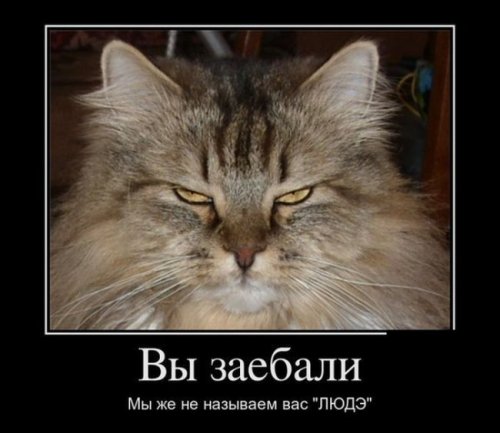 Прикольные демки (38 шт)