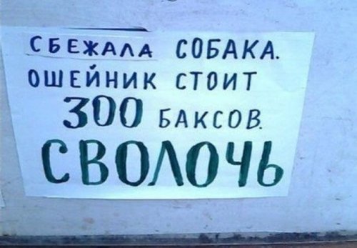 Смешные и нелепые надписи (27 шт)