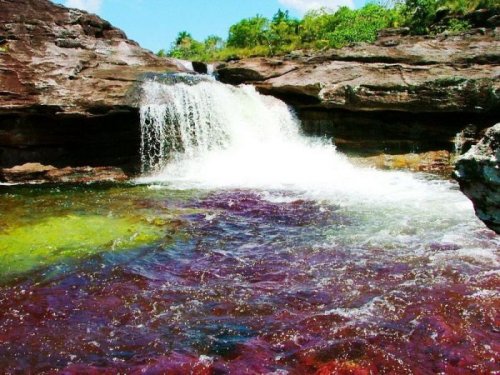 Каньо Кристалес или Река Пяти цветов (25 фото)