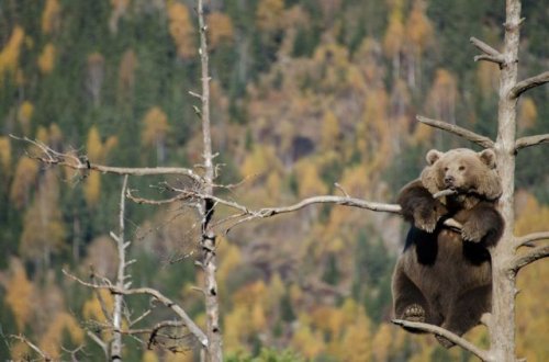 Весёлые приколы в фотографиях (29 фото)