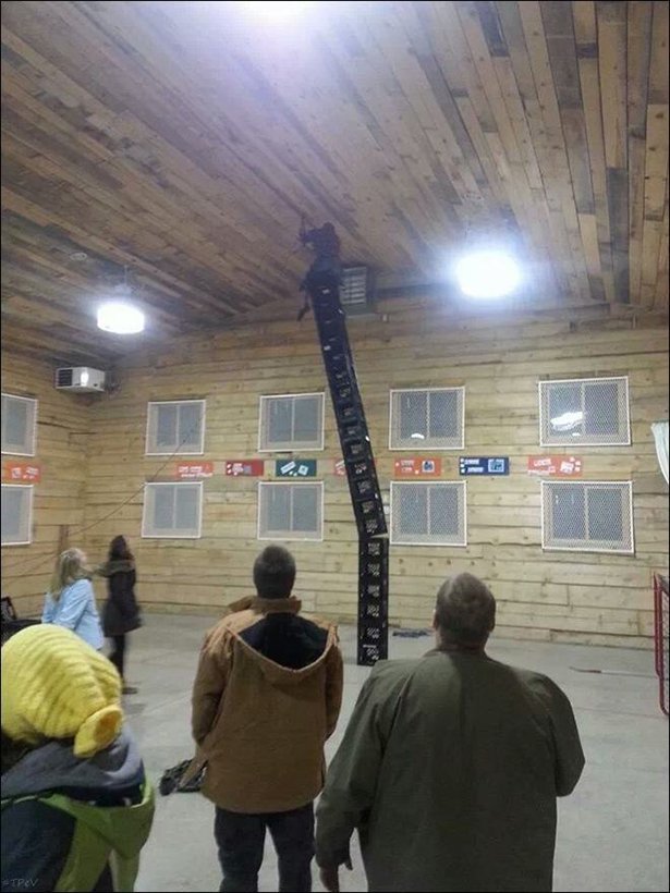 Дураки вокруг нас (22 фото)