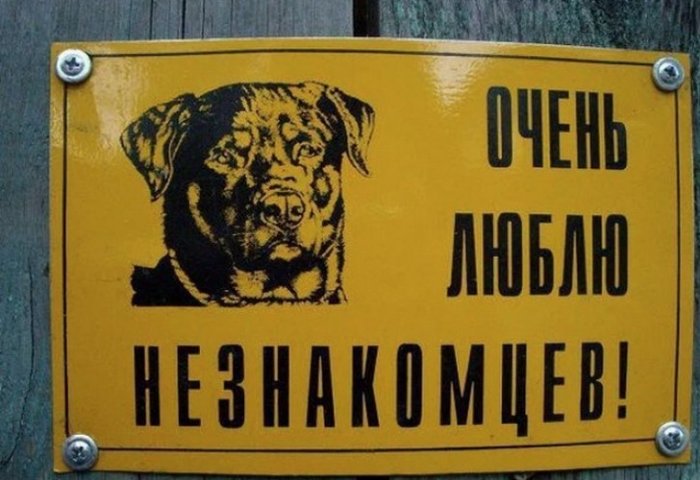 Смешные предупреждающие таблички о сторожевых собаках (16 фото)