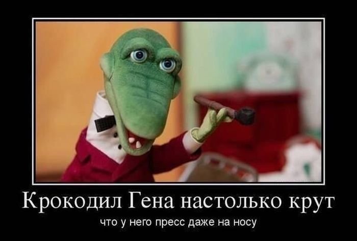 Новая коллекция демотиваторов (24 шт)